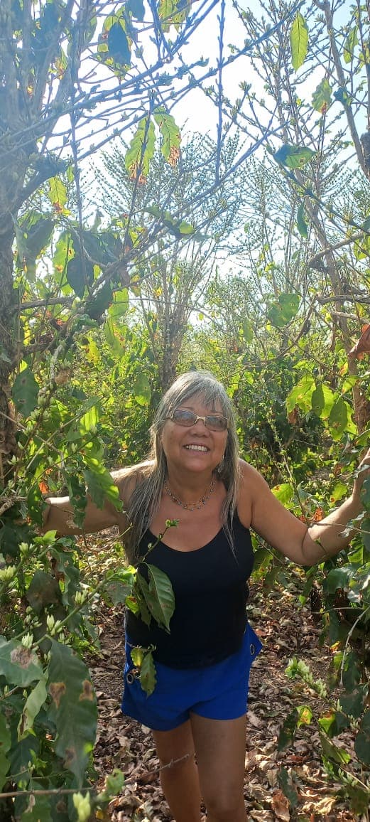 Hoje — Dulce Helena